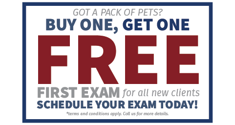 Bogo Offer