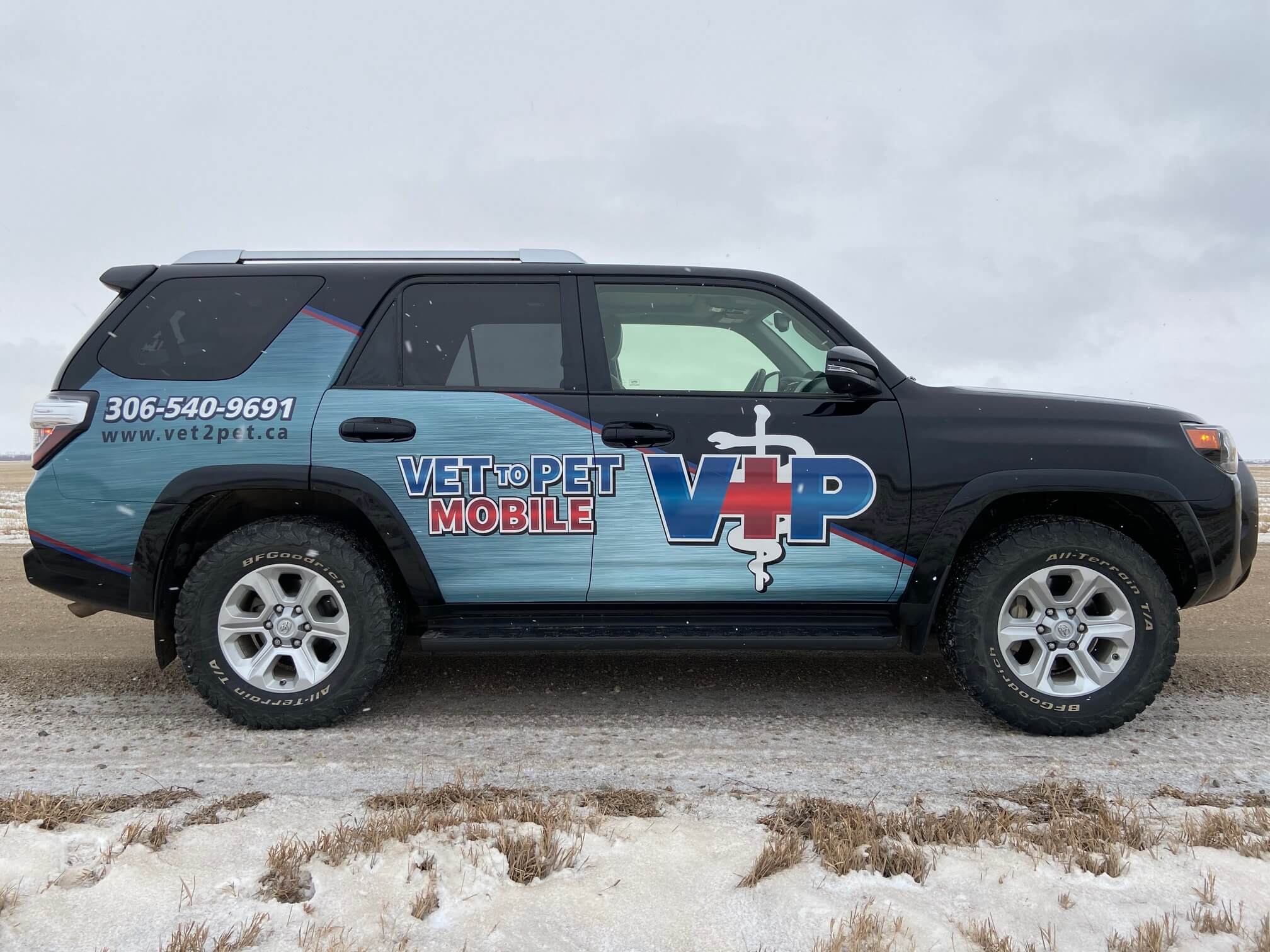 Regina Sk In-home Vet - Vet To Pet Mobile